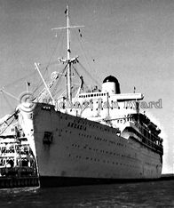 P and O Line Arcadia at Port Melbourne